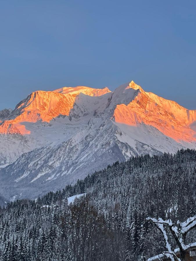 Vue Splendide Mont Blanc Apartment Saint-Gervais-les-Bains Ngoại thất bức ảnh